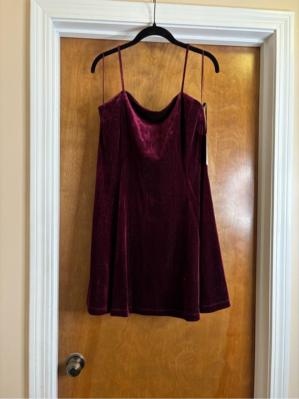 NWT Velvet Spaghetti Strap Mini Dress in Deep Burgundy